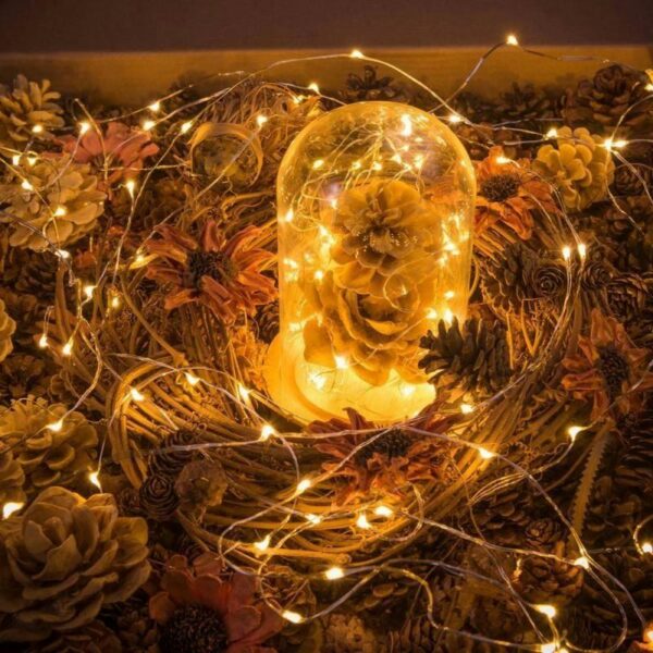 Window curtain bottle remote decorative outfit micro led copper wire globe blub string lights - Image 5