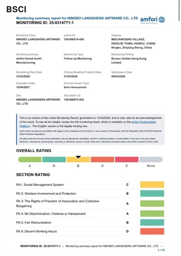 Langsheng BSCI monitoring summary report