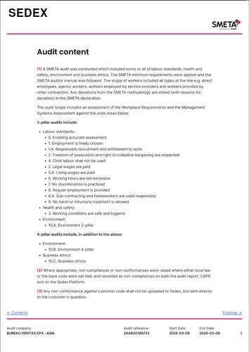 Langsheng SEDEX SMETA audit report